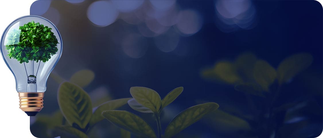 Energy and Utilities