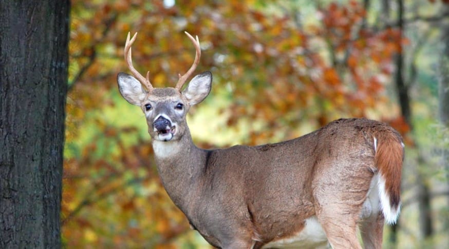 Outdoor Enthusiasts App